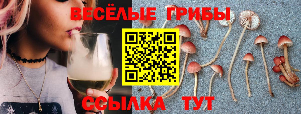Галлюциногенные грибы ЛСД Городец