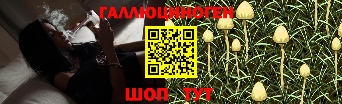 Городец  Галлюциногенные грибы мухоморы  Вход с VPN 